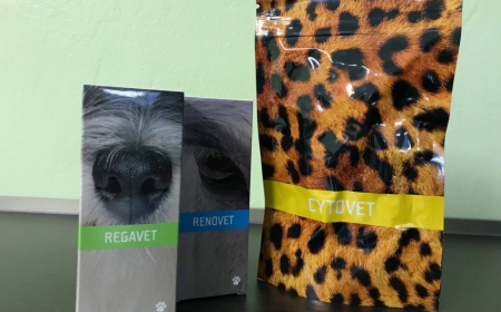 Jarní detox